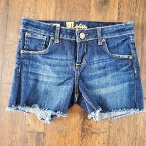Kut from the Kloth Gidget Fray Shorts